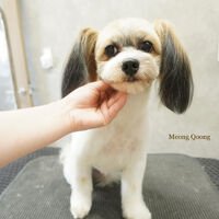 画像5050