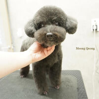 画像5091