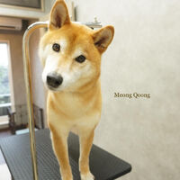 画像5094