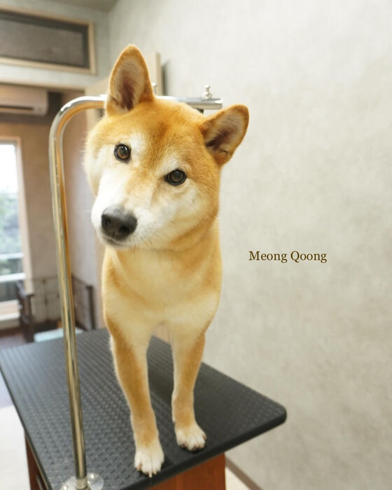 画像5094