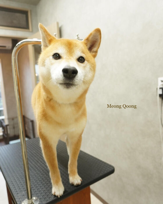 画像5095