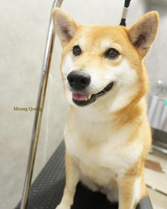 画像5194