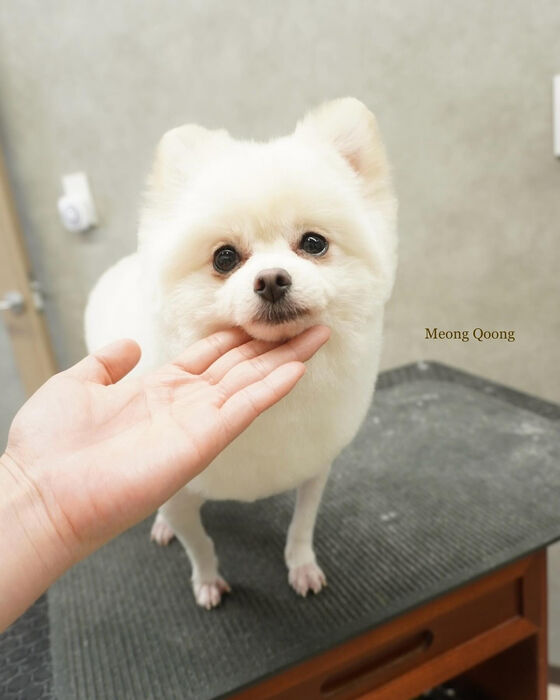 画像5247