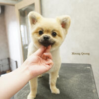 画像5273