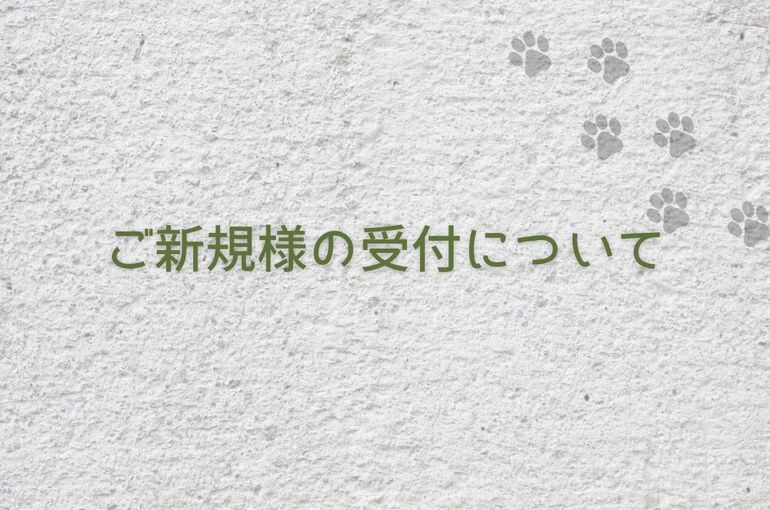 新規受付