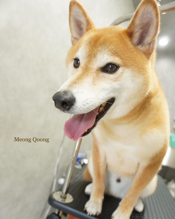 画像5487