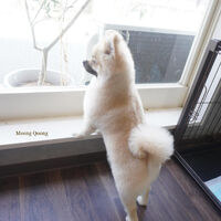 画像5551