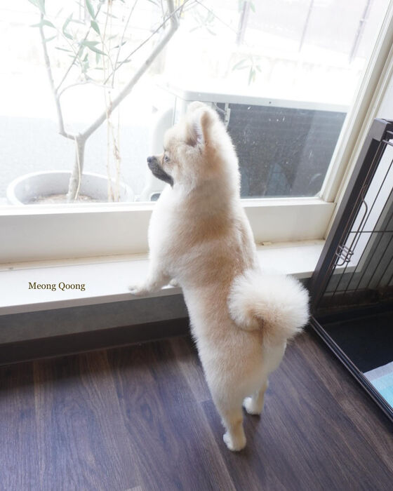 画像5551