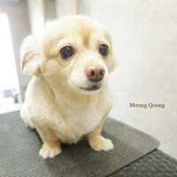 画像5569