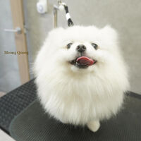 画像5675