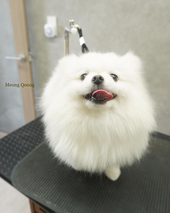 画像5675