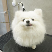 画像5676