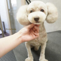 画像5687