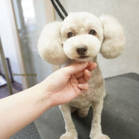 画像5688