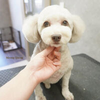 画像5690