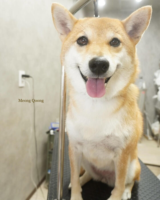 画像5738
