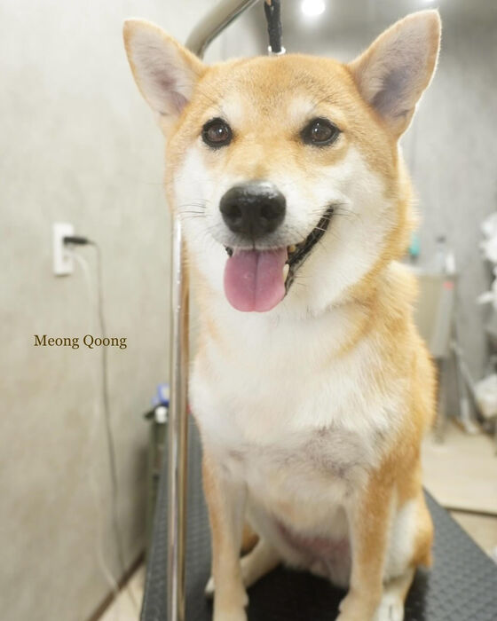 画像5739