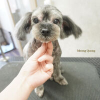 画像5748