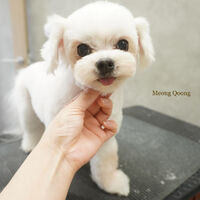 画像5757