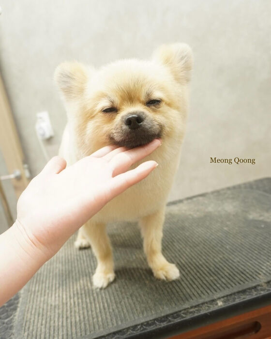 画像5784