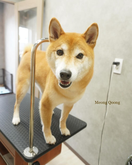 画像5791