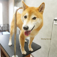 画像5792
