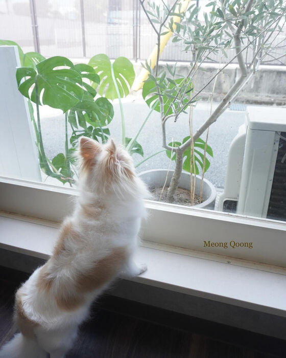 画像5795