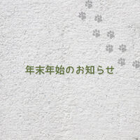 画像5865