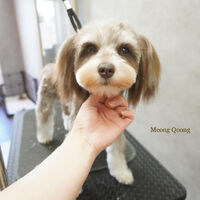 画像5897