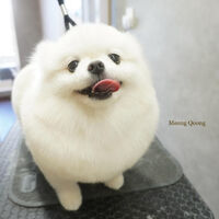 画像5927