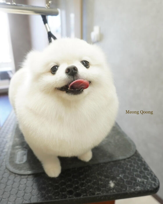 画像5927