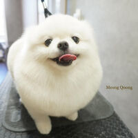 画像5928