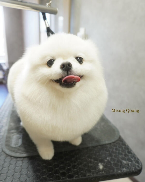 画像5928