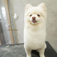 画像5980