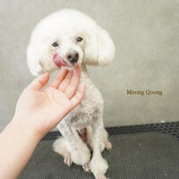 画像6058