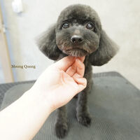 画像6159