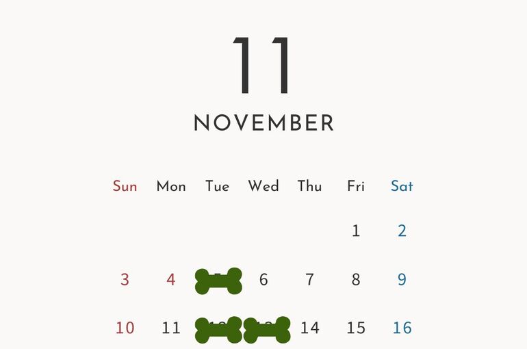 １１月