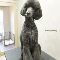 画像6345