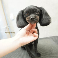 画像6356