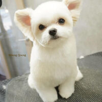 画像6388
