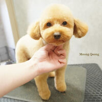 画像6397