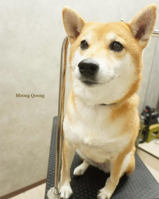 画像6450