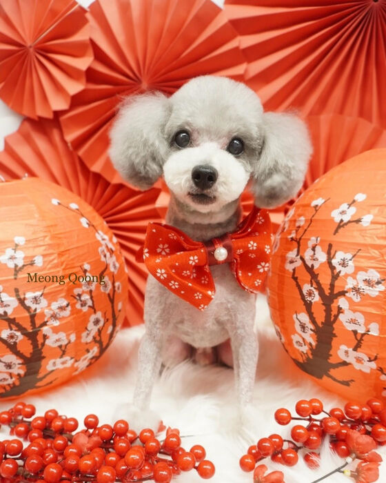 画像6666