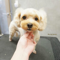 画像6793
