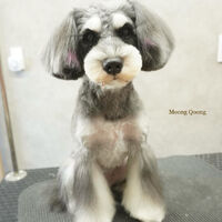 画像6830