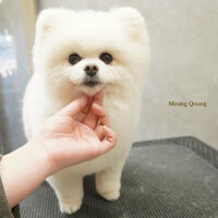 画像6839