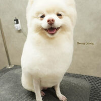 画像6880