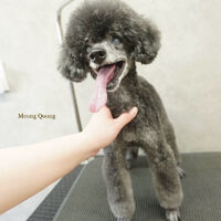 画像6916