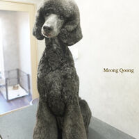 画像6919