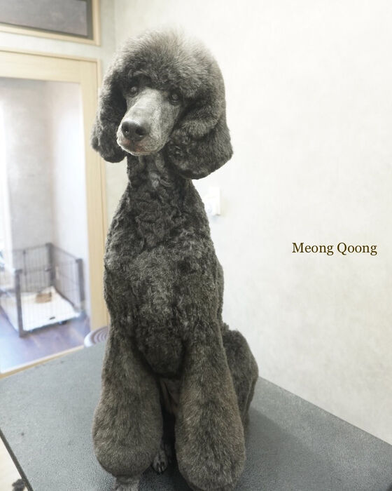 画像6919